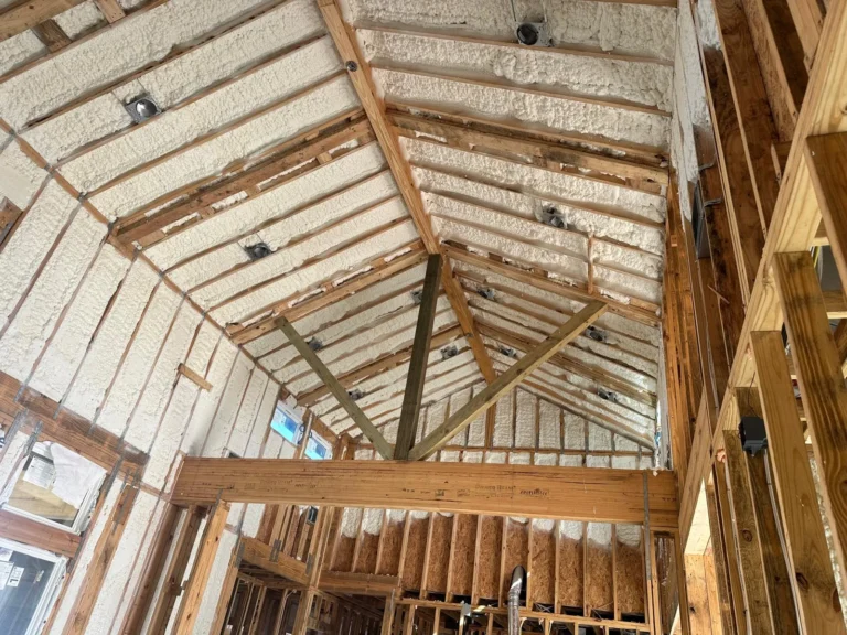 WhatsApp-Image-2025-05-16-at-12.02