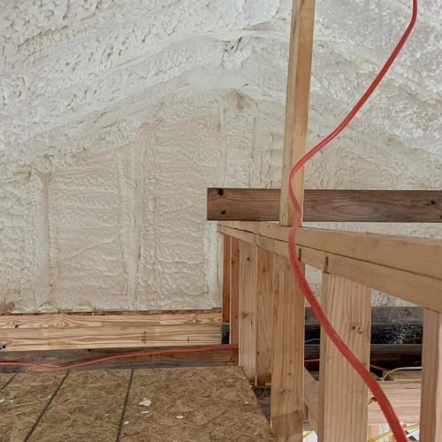 601189719_1369279524657558_7500992519783410184_n