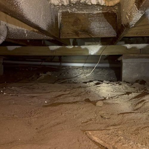 623841351_1399590004959843_3075927946122131205_n