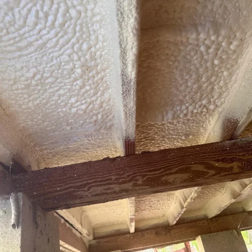 WhatsApp-Image-2025-05-15-at-11.49.38-PM-1