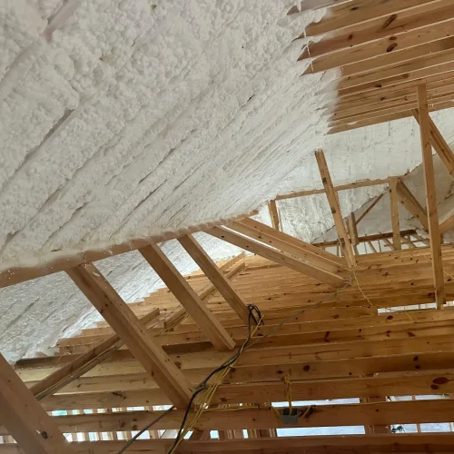 WhatsApp-Image-2025-05-15-at-11.55.25-PM