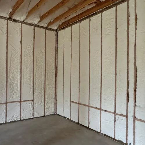 WhatsApp-Image-2025-05-15-at-11.55.26-PM