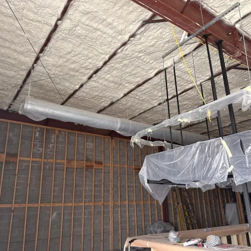 WhatsApp-Image-2025-05-15-at-7.48.06-PM