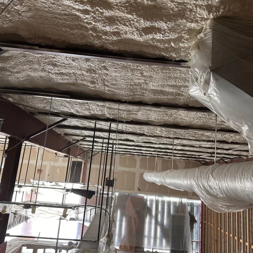 WhatsApp-Image-2025-05-15-at-8.11.38-PM-1