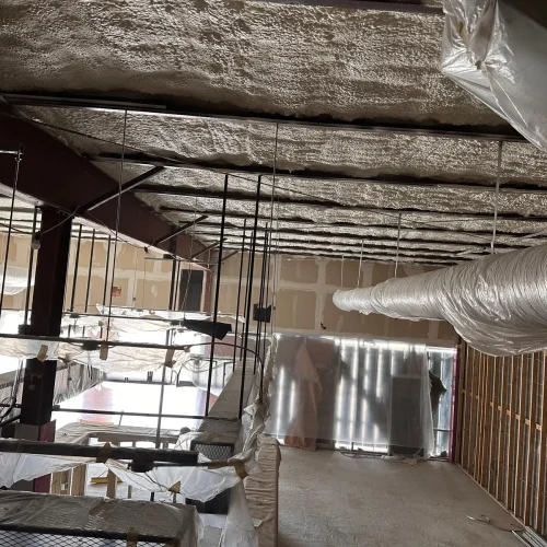 WhatsApp-Image-2025-05-15-at-8.11.38-PM