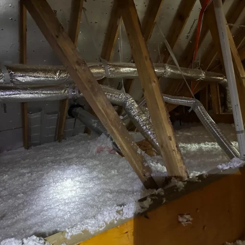 WhatsApp-Image-2025-05-15-at-8.21.04-PM-2