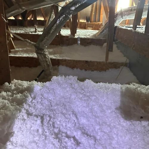 WhatsApp-Image-2025-05-15-at-8.21.04-PM-3