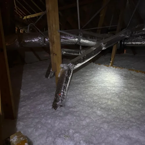 WhatsApp-Image-2025-05-15-at-8.21.04-PM-8